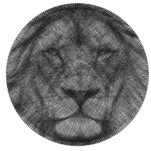 Ready to make Lion Animals string art scheme