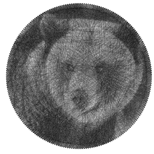 Ready to make Bear Animals string art scheme